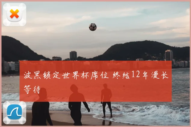 波黑锁定世界杯席位 终结12年漫长等待