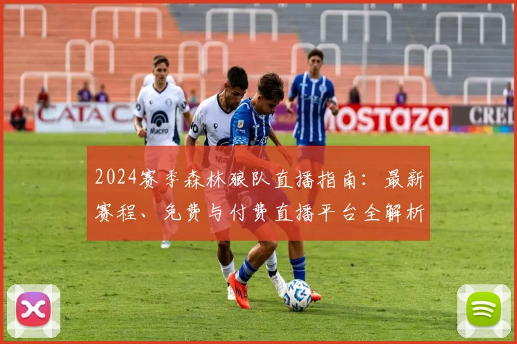2024赛季森林狼队直播指南：最新赛程、免费与付费直播平台全解析